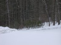 DSCN1053.JPG