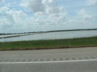IMG_8573.JPG IMG_8573.JPG