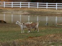 IMG_7015.JPG IMG_7015.JPG