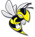 wasp1.png