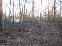 Picture 115.jpg Picture 115.jpg