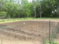 garden in.jpg