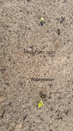 20150410_150111.jpg