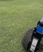 IMG_2065.jpeg