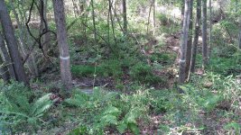 20150511_161227.jpg