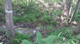 20150511_161131.jpg