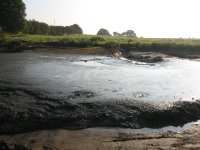IMG_2474.jpg