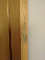 IMG_20150615_195445.jpg