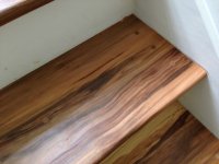 IMG_3498.jpg