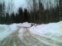 Driveway2015.jpg