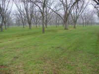 Caroni 8 Foot Finishing Mower 001.jpg Caroni 8 Foot Finishing Mower 001.jpg