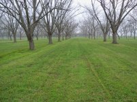 Caroni 8 Foot Finishing Mower 002.jpg Caroni 8 Foot Finishing Mower 002.jpg