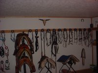 DSC01630.JPG