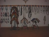 DSC01605.JPG