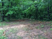 IMG_0615_zpsuzq05aoe.jpg