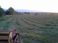 20150616_210110.jpg