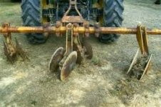 Row Hippers.jpg