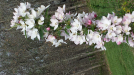 ForumRunner_20150415_170236.png