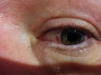 IMG_20150617_225913[1].jpg