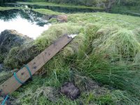 Broke the plank.jpg