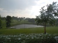 DSCN3249.jpg