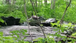 20150617_112014.jpg