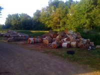 IMG_2193.jpg
