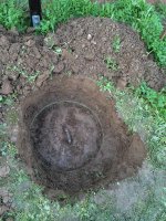 IMG_0564 (Medium).JPG IMG_0564 (Medium).JPG
