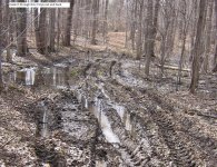 mud2.jpg