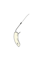 hooking_a_single_maggot.png
