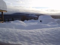 2009.01.12 Twenty Inches Snow Overnight 019.jpg