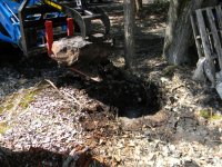 DSCN1527 (Large).JPG