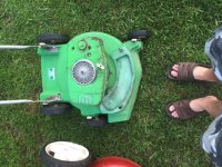 lawnboy 3.JPG