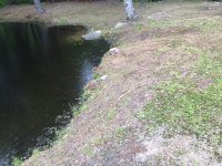 image-480371048.jpg