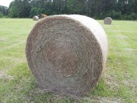 20150620_154041.jpg