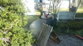 IMAG0057.jpg