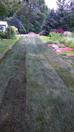 WP_20150703_006.jpg