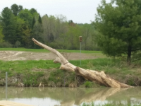 ForumRunner_20150516_161044.png