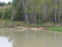 ForumRunner_20150516_161051.png
