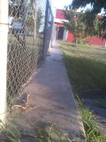 150608_0001.jpg