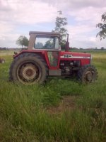 595-massey-ferguson.jpg