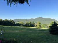 IMG_0596.jpeg