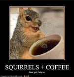 SquirrelsPlusCoffee.jpg