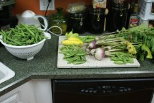 DSC05070.jpg