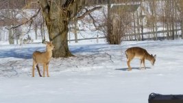 20150322_160437.jpg