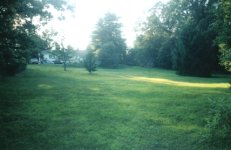 Half of Yard.jpg Half of Yard.jpg