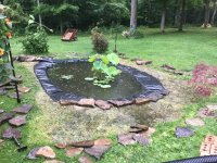 IMG_0415.jpeg