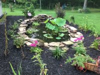 IMG_0445.jpeg