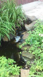 pond2.jpg