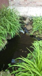 pond3.jpg